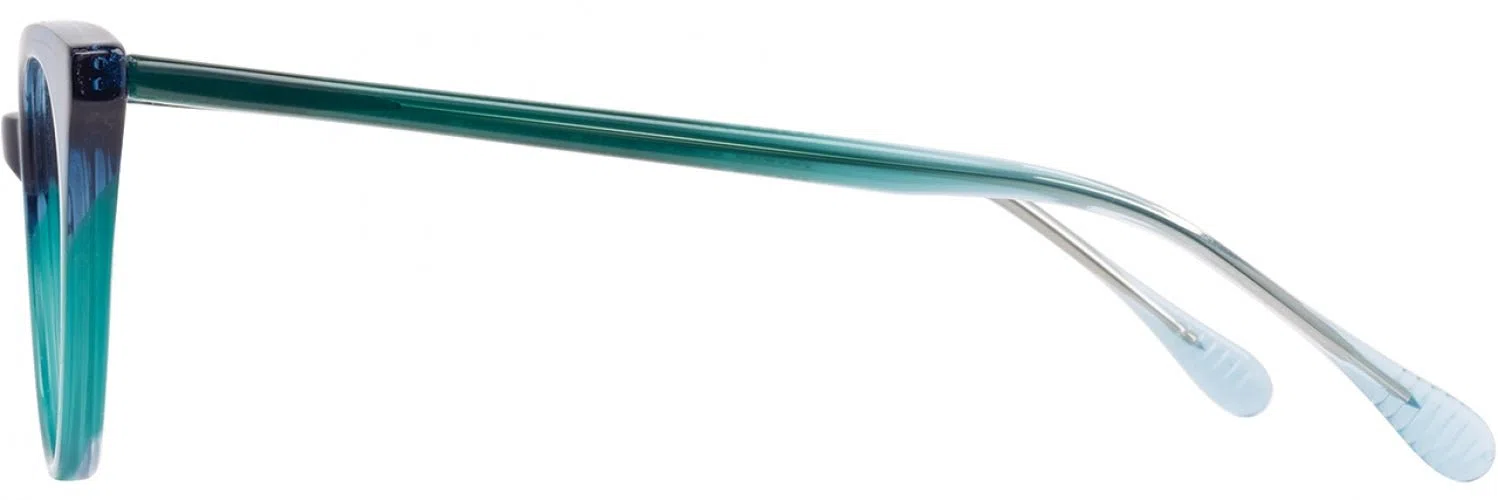 Alan J AJ516 Eyeglasses - view 8
